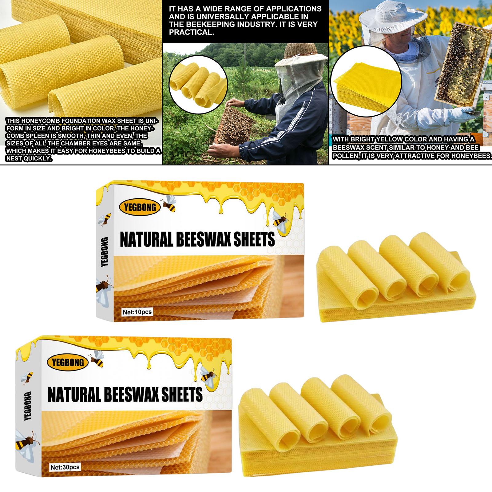Balmumu Levhaları, Arıcılık Te - Candle Making With Beeswax incelemesi ve fiyatı
